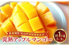 【先行受付】数量限定！和泊町実験農場直送！土づくりアドバイザーこだわりの完熟アップルマンゴー 1kg（2～3玉）【7月下旬～8月中旬】　W047-001u