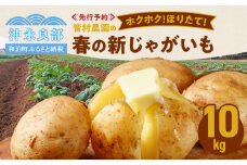 【2025年先行予約】皆村農園のホクホク!ほりたて！春の新じゃがいも10kg【1月下旬～4月下旬】　W035-001
