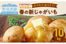 【2026年先行予約】皆村農園のホクホク！ほりたて！春の新じゃがいも 10kg【1月下旬～4月下旬】　W035-001