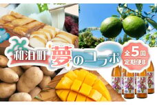【ふるさと納税】 和泊町「夢」のコラボ【5回】定期便B　W034-002u