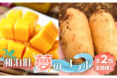 【ふるさと納税】和泊町「夢」のコラボ【2回】定期便C　W034-003u
