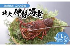 【漁師直送】活き〆冷凍 特大伊勢海老1kg（1～2尾）　W005-003