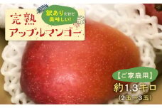 【2025年先行予約】（ご家庭用） 美味しい！完熟アップルマンゴー約1.3kg 2玉～3玉【7月初旬～8月下旬発送】　W009-085u