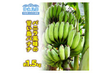 ■ 栽培期間中 農薬・除草剤・化学肥料不使用！バニラ風味の甘い島バナナ 1.5kg【2025年6月～2025年11月下旬お届け】　W043-006u
