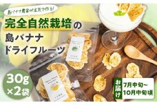 【先行受付】島バナナ農家が本気で作る完全自然栽培の島バナナドライフルーツ 30g×2袋（7月中旬～10月中旬頃発送）　W029-010u