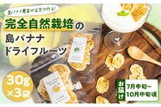 【先行受付】島バナナ農家が本気で作る完全自然栽培の島バナナドライフルーツ 30g×3袋（7月中旬～10月中旬頃発送）　W029-011u
