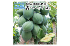 酵素たっぷり「青パパイヤ」5kg　W009-066