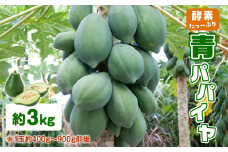 酵素たっぷり「青パパイヤ」3kg　W009-065-01