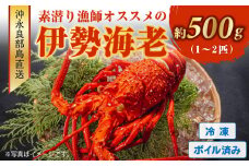 沖永良部島直送！素潜り漁師オススメのボイル済み冷凍伊勢海老 約500g（1～2匹）！　W030-017