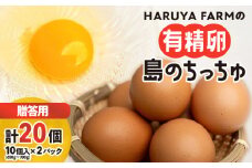 【贈答用】HARUYA FARMの有精卵「島のちっちゅ」　W065-001-01