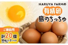 【ご家庭用】HARUYA FARMの有精卵「島のちっちゅ」　W065-001-02