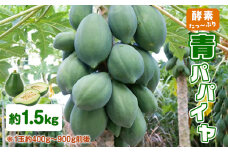 酵素たっぷり「青パパイヤ」1.5kg　W009-065-02