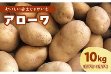 【2025年先行予約】沖永良部島産 おいしい赤土じゃがいも アローワ 10kg【3月下旬～5月下旬】　W009-070u-03