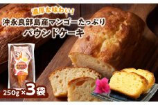 濃厚な味わい！ 沖永良部島産マンゴーたっぷりパウンドケーキ×3袋　W011-093u-02