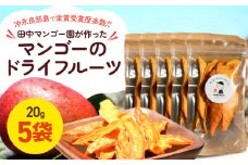 【先行受付】田中マンゴー園が作ったマンゴーのドライフルーツ 20g×5袋　W001-013-01