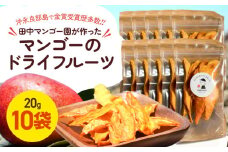 【先行受付】田中マンゴー園が作ったマンゴーのドライフルーツ 20g×10袋　W001-013-02