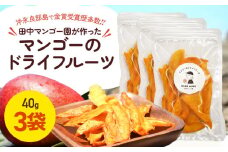【先行受付】田中マンゴー園が作ったマンゴーのドライフルーツ 40g×3袋　W001-013-03