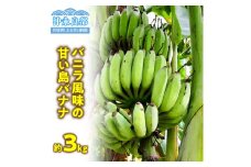 ■ 栽培期間中 農薬・除草剤・化学肥料不使用！バニラ風味の甘い島バナナ 3kg【2025年6月～2025年11月下旬お届け】　W043-001u