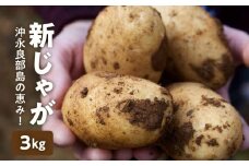 【2026年先行予約】沖永良部島の恵み！新じゃが 3kg【2月下旬～4月下旬】　W011-070u