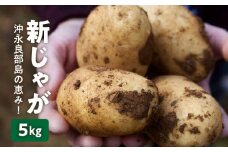 【2026年先行予約】沖永良部島の恵み！新じゃが 5kg【2月下旬～4月下旬】　W011-071u