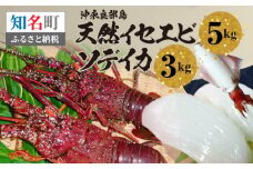 沖永良部島 天然イセエビ 5kg・ソデイカ 3kg　C010-018