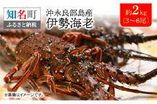 沖永良部島産 伊勢海老 約2kg（3～6尾）　C041-003