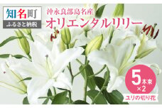 ユリの切り花オリエンタルリリー沖永良部島名産5本束×2（12月中旬から5月中旬）　C048-001