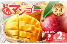 【2025年先行予約】伊井マンゴー園の訳あり完熟マンゴー（ご家庭用）約2キロ（5～9玉）　C026-004