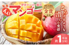【2025年先行予約】伊井マンゴー園のイイ！マンゴー 約1キロ（2玉）　C026-002