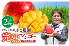 【2025年先行予約】ふじ農園の完熟マンゴー 2kg　C031-002