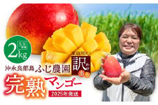 【2025年先行予約】【訳あり】おいしさそのまま！ふじ農園の完熟マンゴー2kg　C031-003