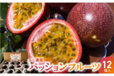 【2025年先行予約】ふじ農園のパッションフルーツ 12個入　C031-004
