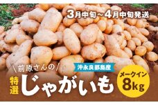 【2025年先行予約】前原さんの特選じゃがいも メークイン8kg　C062-002