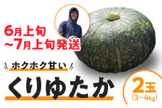 【2025年先行予約】春かぼちゃ（くりゆたか） 2玉　C062-003-01