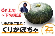 【2026年先行予約】くりかぼちゃ 2玉　C062-003-01