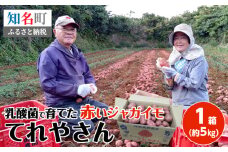 【2025年3月お届け】人気の赤いジャガイモ てれやさん 乳酸菌育ち！！　C036-001-03