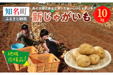 地域応援品　愛情かけて育てた新鮮でおいしい新じゃがいも！10ｋｇ