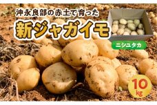 【2025年先行予約】沖永良部の赤土で育った新ジャガイモ 10kg（ニシユタカ）2～4月お届け　C054-001-02