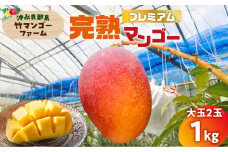【2025年先行予約】竹マンゴーファームのプレミアム完熟マンゴー1キロ（大玉2個入り）　C039-003