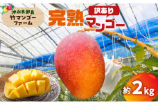 【2025年先行予約】竹マンゴーファームの完熟マンゴー約2キロ（訳あり）　C039-005-02