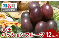 【2025年先行予約】えみちゃん農園 大玉パッションフルーツ（12個入り）　C008-004
