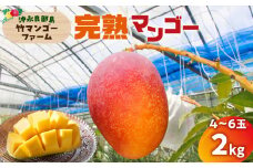 【2025年先行予約】竹マンゴーファームの完熟マンゴー2キロ（4～6個入り）　C039-006