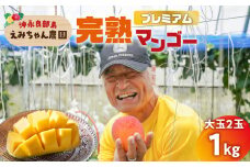 【2025年先行予約】えみちゃん農園のプレミアム完熟マンゴー1キロ（大玉2個入り）　C008-005