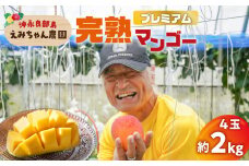 【2026年先行予約】えみちゃん農園のプレミアム完熟マンゴー約2キロ（4個）　C008-009