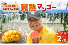 【2025年先行予約】えみちゃん農園の完熟マンゴー2キロ（4～6個入り）　C008-008