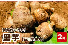新鮮おいしい！里芋（石川早生丸） 2kg 6月お届け　C056-001