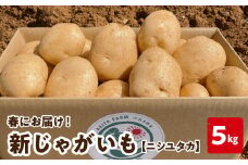【2025年先行予約】新じゃがいも ニシユタカ5kg 4月お届け　C056-004-03