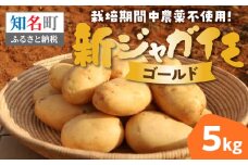 【2025年先行予約】農薬不使用！新ジャガイモ ゴールド 5kg＜4月お届け＞　C058-001