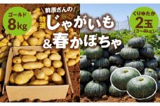 【2025年先行予約】前原さんの特選じゃがいもゴールド8kg＆春かぼちゃ（くりゆたか）2玉　C062-T04