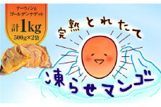 完熟とれたて凍らせマンゴーセット（アーウィン・ゴールデンナゲット）　C063-001
